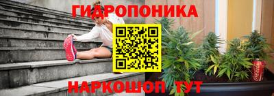 тгк Будённовск