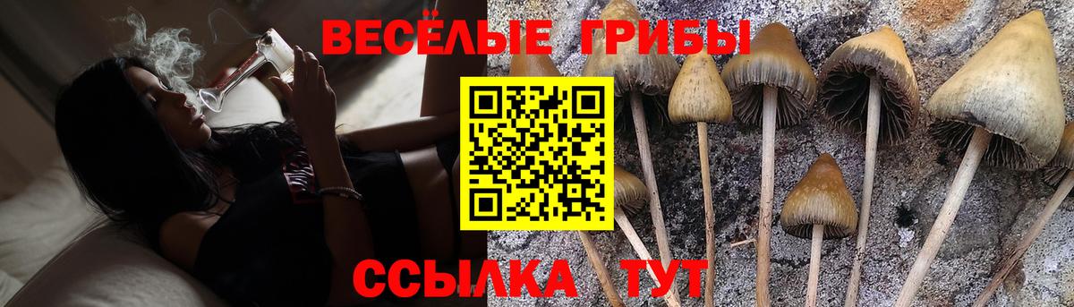 Псилоцибиновые грибы Psilocybe  Псилоцибиновые грибы MAGIC MUSHROOMS  Вход с VPN  Павлово 